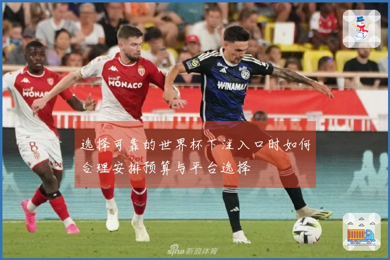 选择可靠的世界杯下注入口时如何合理安排预算与平台选择