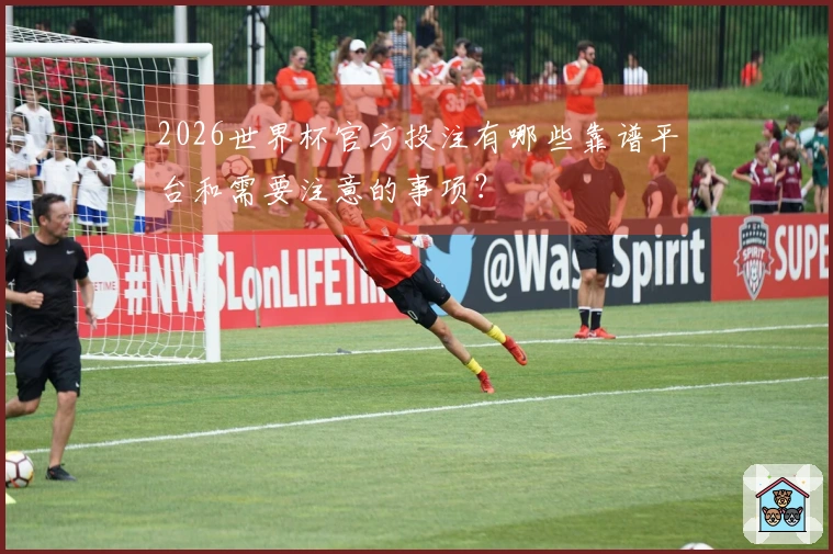 2026世界杯官方投注有哪些靠谱平台和需要注意的事项?