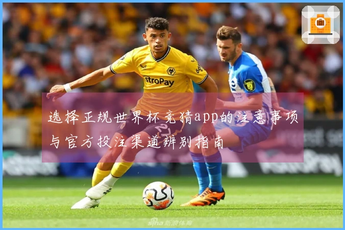 选择正规世界杯竞猜app的注意事项与官方投注渠道辨别指南